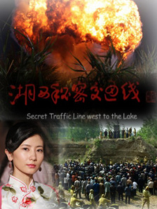 久久久久久久亚洲精品一区